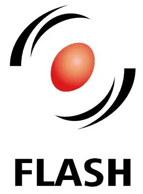 FLASH LOGO