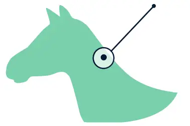 MERCK Bio Thermo Equine Identification Microchips - body