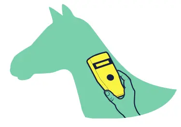 MERCK Bio Thermo Equine Identification Microchips - records