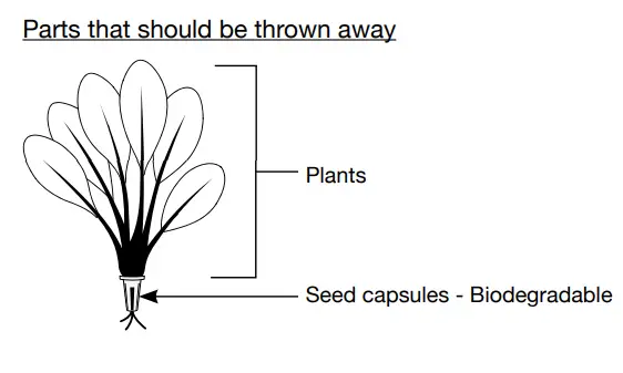 aspara Growgreen GS1004 Stylist Lite Smart Grower - Fig 10