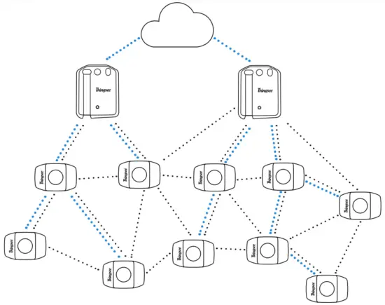 Network structure
