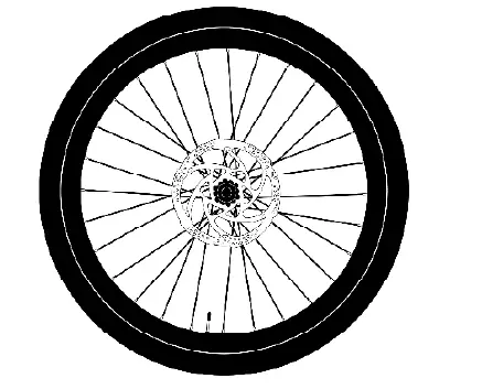 PRODUCTSerial 1 RUSHCTY Speed Pearl Midnight Black Large Electric Bike 12