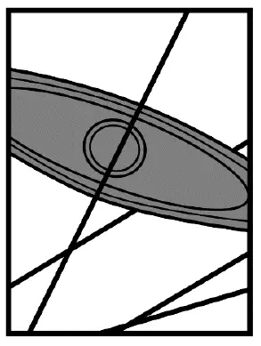 PRODUCTSerial 1 RUSHCTY Speed Pearl Midnight Black Large Electric Bike 48