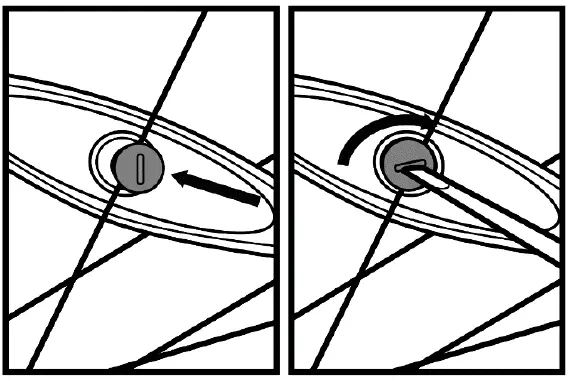 PRODUCTSerial 1 RUSHCTY Speed Pearl Midnight Black Large Electric Bike 49