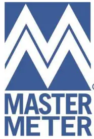 MASTER METER-logo