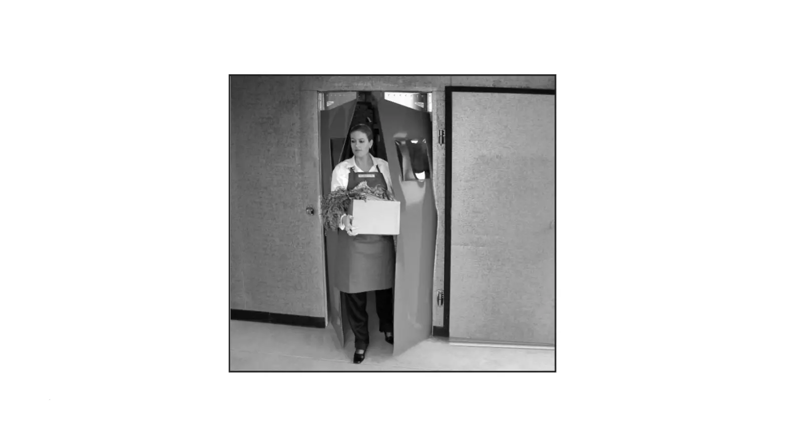 Curtron Pp-c-120-6084 Polar-pro Flexible Swinging Door For Walk-in Coolers & Freezers, 60