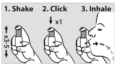 Easyhaler Budesonide 200 mcg Micrograms Per Actuation fig1