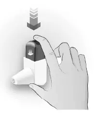 Easyhaler Budesonide 200 mcg Micrograms Per Actuation fig4