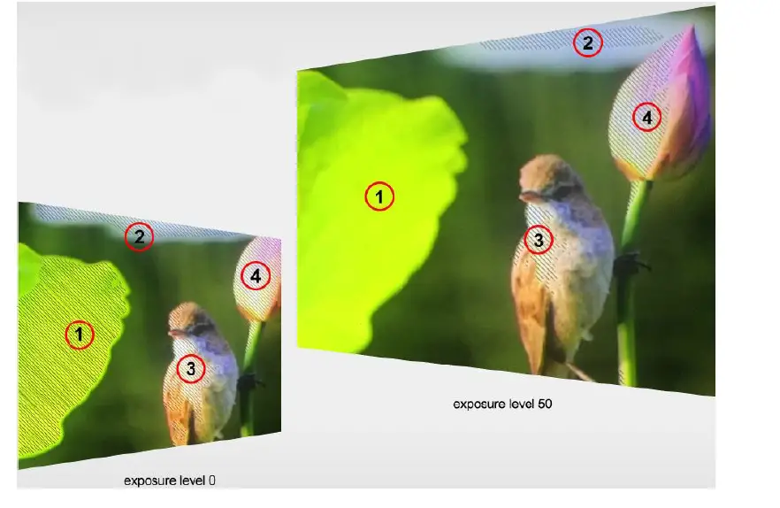 LILLIPUT BM150-4KS-15.6 Inch-4K-Broadcast-Director-Monitor-fig- (9)