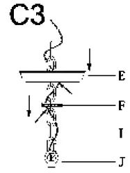 Uolfin EQRREF-LWS23884-47 Natural 3-Light Farmhouse Cage Chandelier 08
