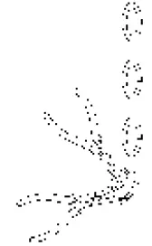 Uolfin EQRREF-LWS23884-47 Natural 3-Light Farmhouse Cage Chandelier 17