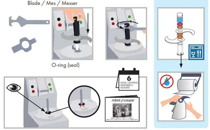 robot coupe Blixer 8 Commercial Food Processor - overview 2