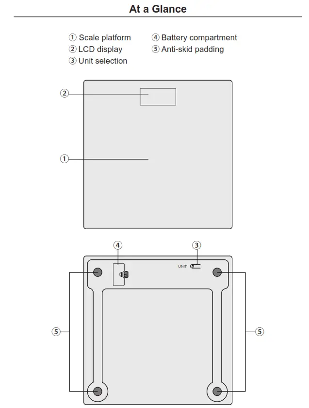 Letsfit Digital Bathroom Scale EB5636H