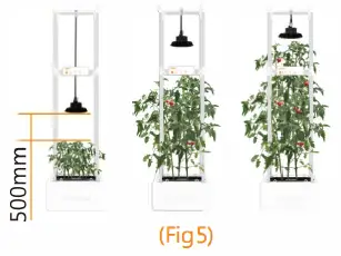 OPCOM-OFG005-GrowTank-Tall-Plant-Hydroponics-fig-9