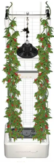 OPCOM-OFG005-GrowTank-Tall-Plant-Hydroponics-image