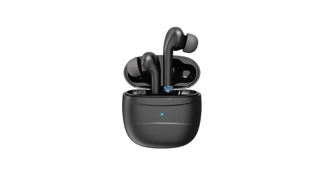 Bizoe Electronic Tws-22 True Wireless Earbuds User Manual