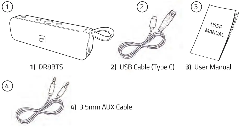 DRIVEN ELECTRONICS DR8BTS Wireless Portable Speaker - FIG 1