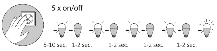 Paul-Neuhaus-6339-Ceiling-Light-fig-7