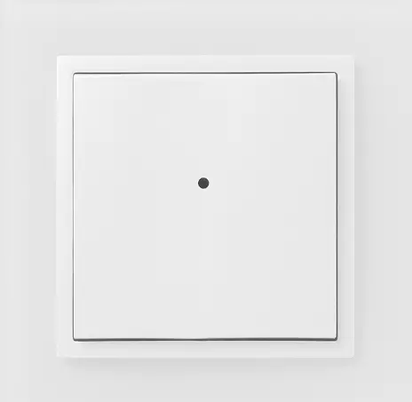 ineLs-RFWB-20-G-On-Wall-Button-Controller-product
