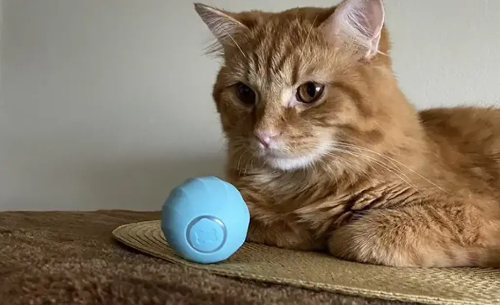 Cheerble Ice Cream Ball: Smart Interactive Cat Toy Ball User Manual