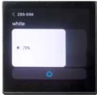 SKYDANCE WZS1 ZigBee 3.0 Constant Voltage LED Controller 21