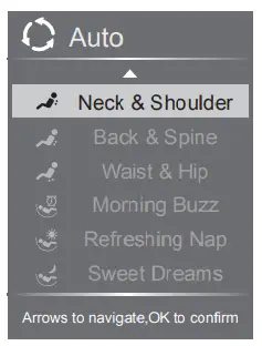 Osaki OS-4D Pro Ekon+ Deluxe Multi-function-- Treatment