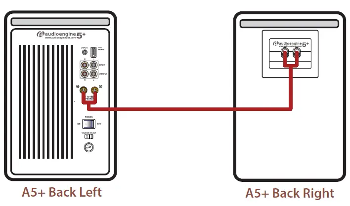 Connecting the Speaker Wire