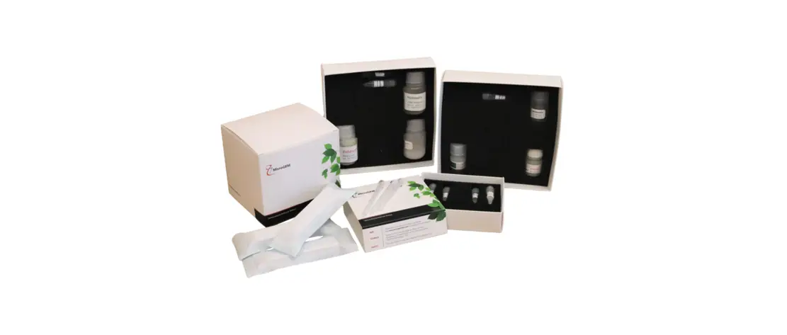 Microgem Forensicgem Sperm Dna Extraction Kits For Use With Thermal Cyclers User Guide