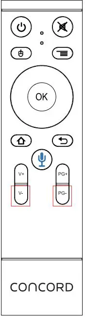 CONCORD Media Player with Voice Assist - Activating pairing mode