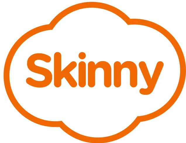 Skinny - logo