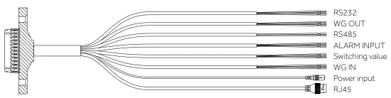 Appearance description