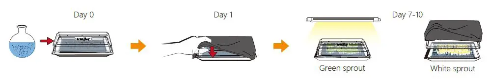 OPCOM-OFG003-3A-Grow-Wall3-Hydroponics-System-13