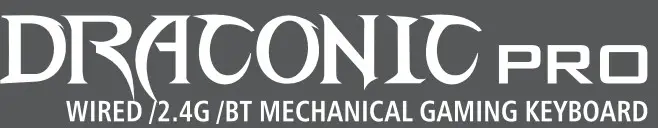 REDRAGON Draconic Pro Wired 2 4G BT Mechanical Gaming Keyboard - logo 2