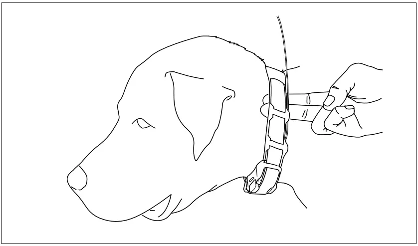 dogtra PT10U Pathfinder Mini Additional Receiver 4 Miles - fig16