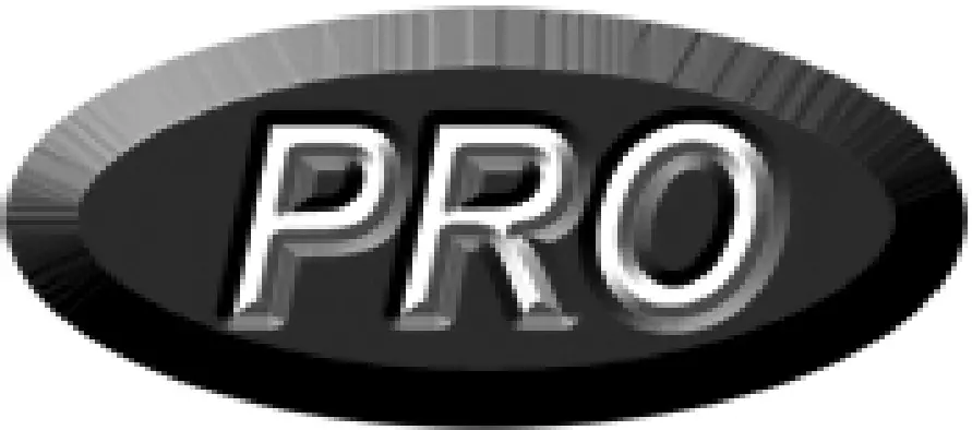 PRO LOGO