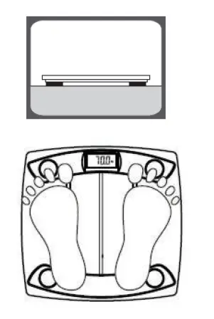 Gallet-PEP-987-Electronic-Glass-Personal-Scale-fig3