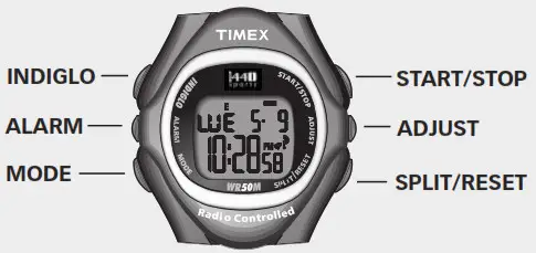 TIMEX Watch