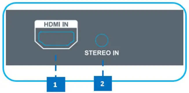 Connections and Indicators