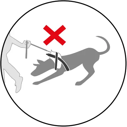 JK9 IDC - CHOOSING THE CORRECT HARNESS SIZE 1