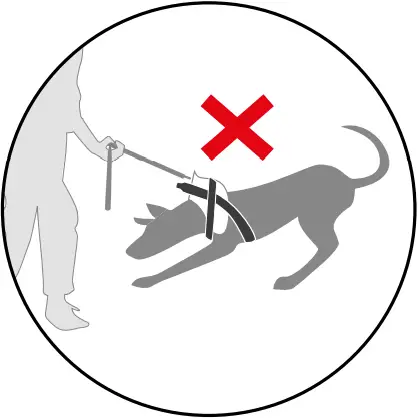 JK9 IDC - CHOOSING THE CORRECT HARNESS SIZE 2