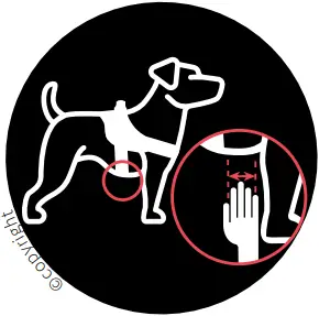 JK9 IDC - PUTTING ON THE DOG HARNESS 3