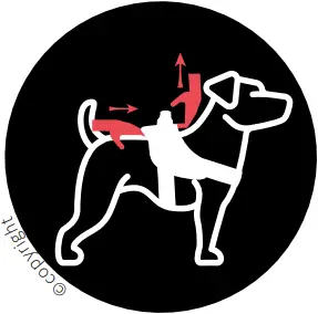 JK9 IDC - PUTTING ON THE DOG HARNESS 4