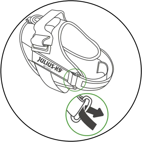 JK9 IDC - PUTTING ON THE DOG HARNESS