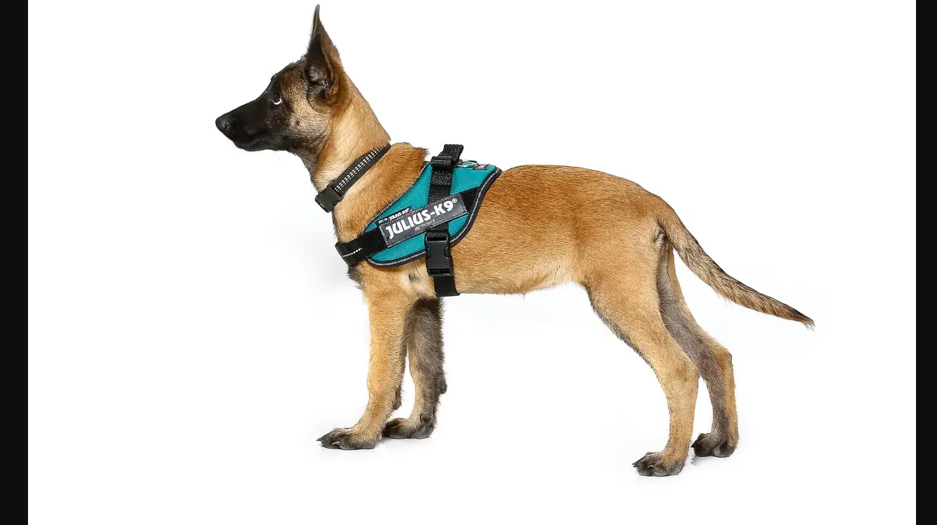 Jk9 Idc Power Harness User Guide