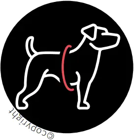 JK9 IDC - TAKING THE MEASUREMENTS CORRECTLY 1