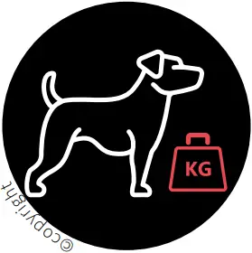 JK9 IDC - TAKING THE MEASUREMENTS CORRECTLY 2