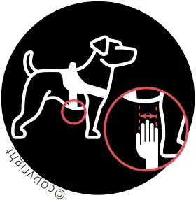 JK9 IDC - TAKING THE MEASUREMENTS CORRECTLY 3