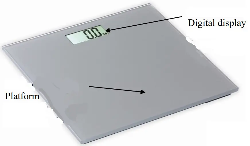 GFERRARI G30052 Electronic Personal Scale - over view