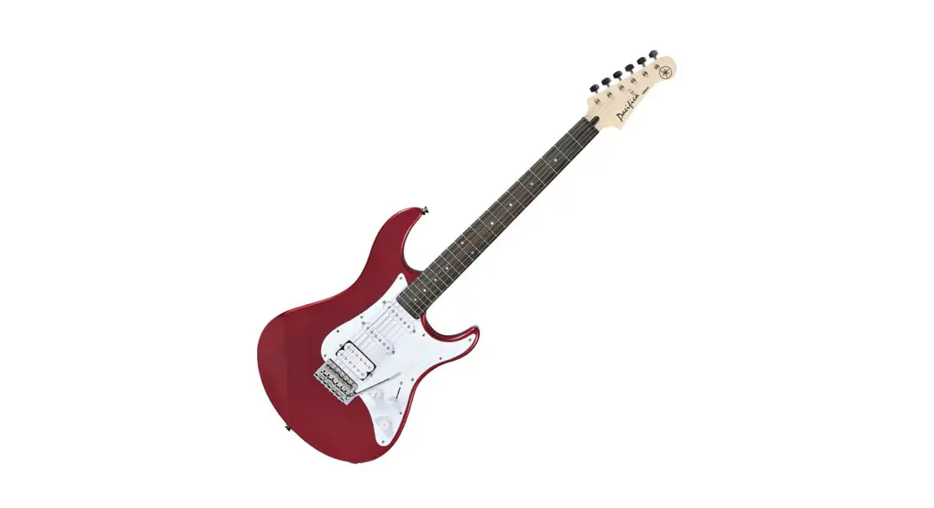 Pyleusa 6-string Electric Guitar User Guide
