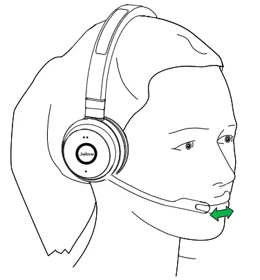 Position the microphone